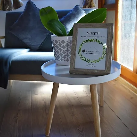 Apartamento Růžák Ruzova